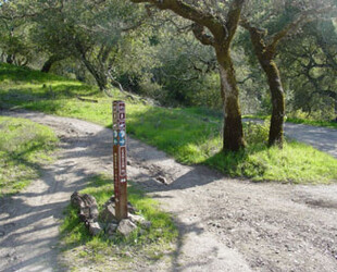 TREADING THE TRAILS OF ANNADEL STATE PARK